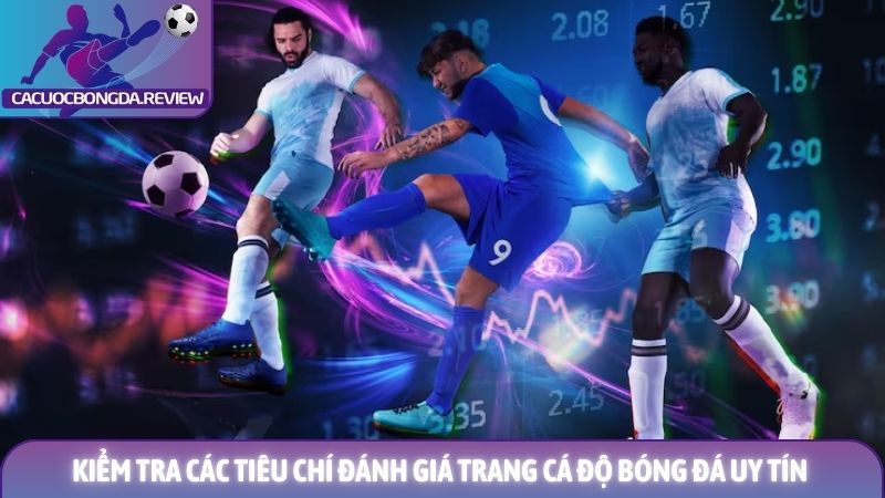 Các tiêu chí đánh giá trang cá độ bóng đá uy tín để hội viên an tâm 1 Kiểm tra các tiêu chí đánh giá trang cá độ bóng đá uy tín