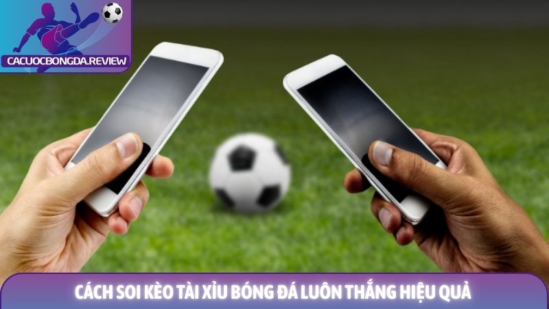 Cách soi kèo tài xỉu bóng đá luôn thắng cho người mới 1 Cách soi kèo tài xỉu bóng đá luôn thắng hiệu quả