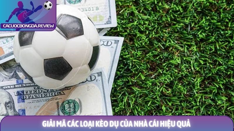 Giải mã các loại kèo dụ của nhà cái và bí quyết thành công 1 Giải mã các loại kèo dụ của nhà cái hiệu quả