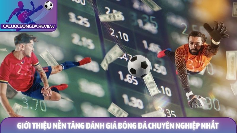 Giới thiệu cá cược bóng đá uy tín 1 Giới thiệu nền tảng đánh giá bóng đá chuyên nghiệp nhất