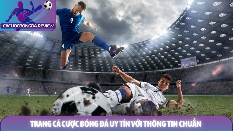 Giới thiệu cá cược bóng đá uy tín 2 Trang cá cược bóng đá uy tín với thông tin chuẩn