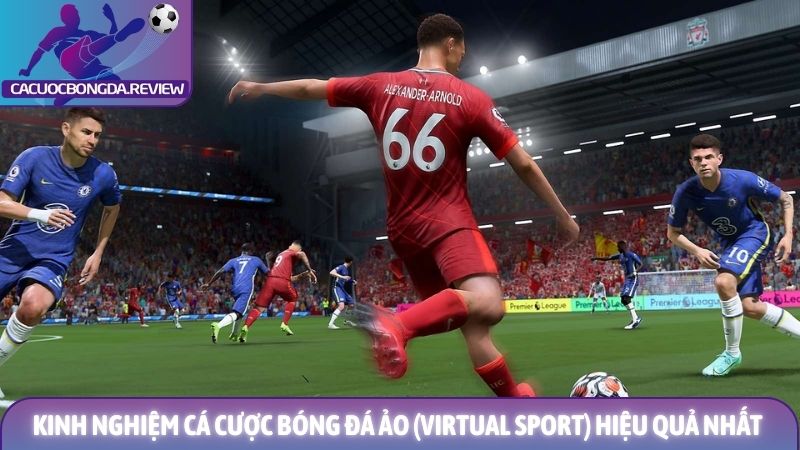 Kinh nghiệm cá cược bóng đá ảo (Virtual Sport) thắng lớn từ lão làng 1 Kinh nghiệm cá cược bóng đá ảo (Virtual Sport) hiệu quả nhất